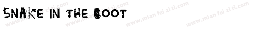 Snake in the Boot字体转换
